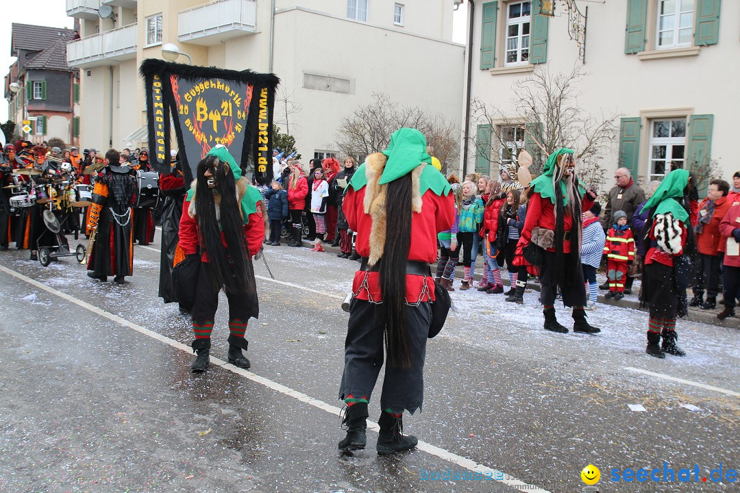 Rosenmontagsumzug: Gottmadingen am Bodensee, 11.02.2013