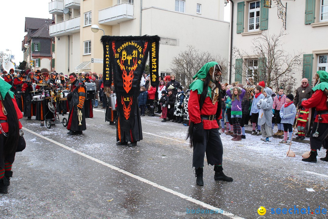 Rosenmontagsumzug: Gottmadingen am Bodensee, 11.02.2013