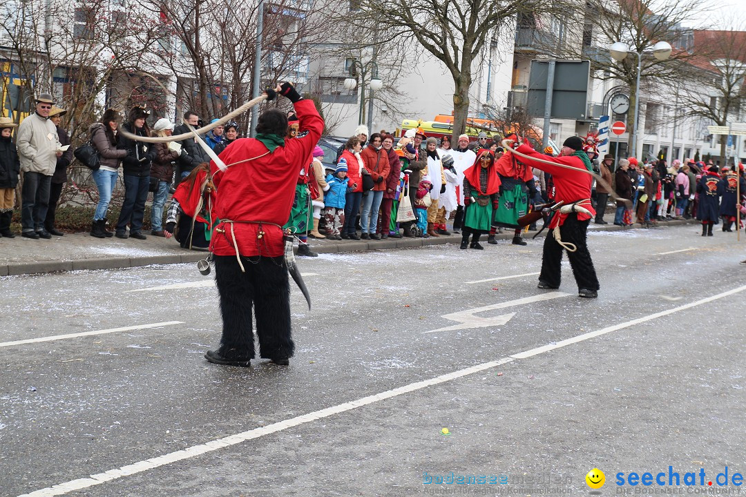 Rosenmontagsumzug: Gottmadingen am Bodensee, 11.02.2013