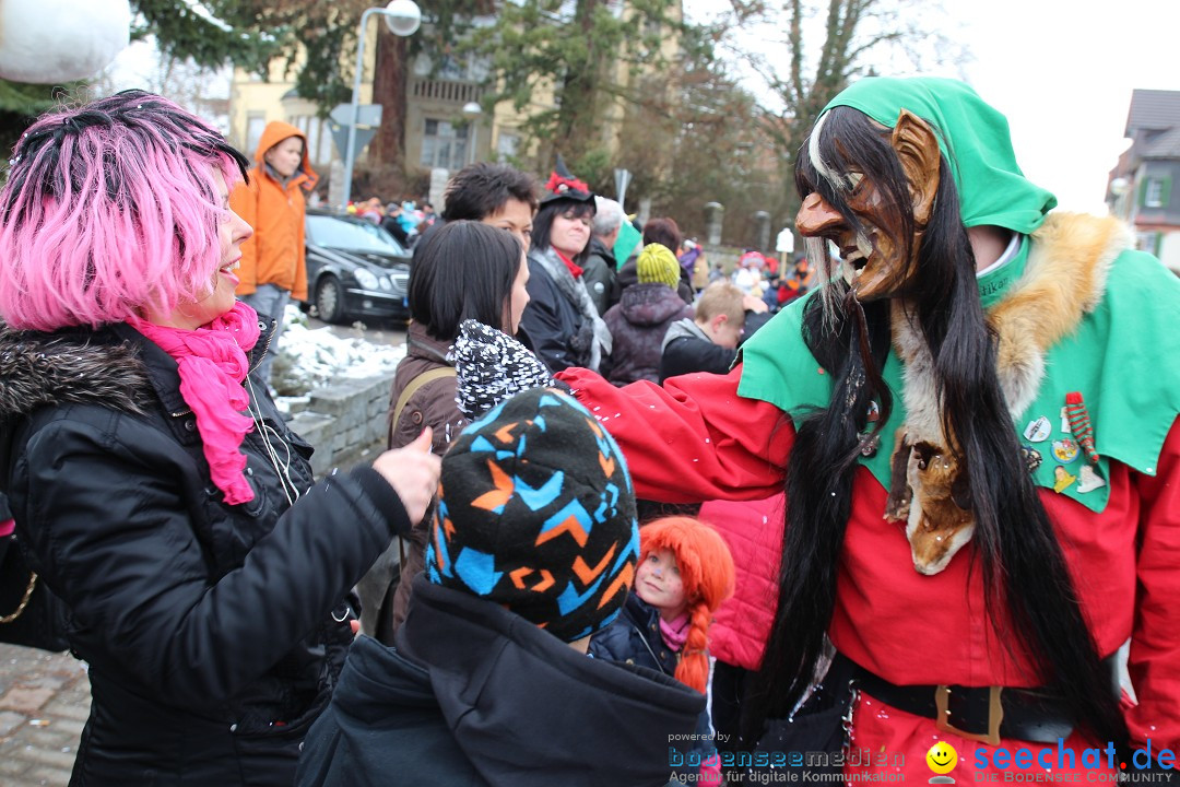 Rosenmontagsumzug: Gottmadingen am Bodensee, 11.02.2013