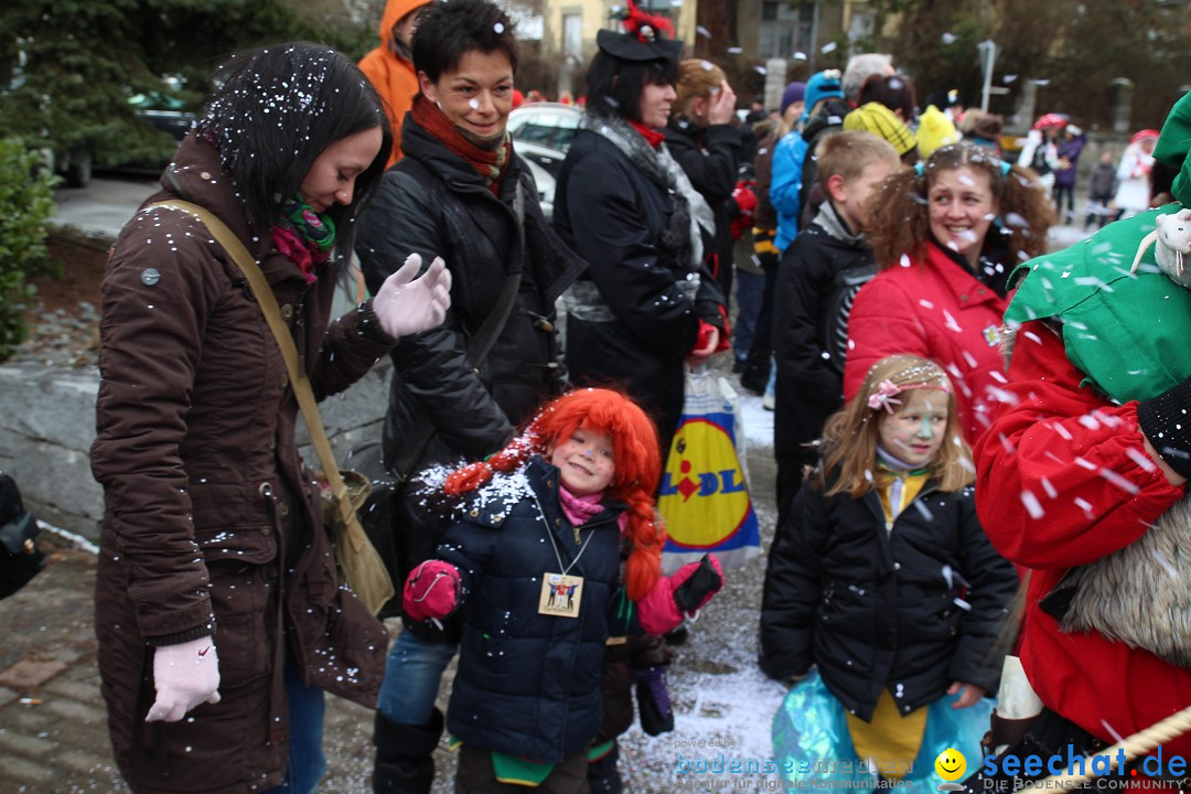 Rosenmontagsumzug: Gottmadingen am Bodensee, 11.02.2013