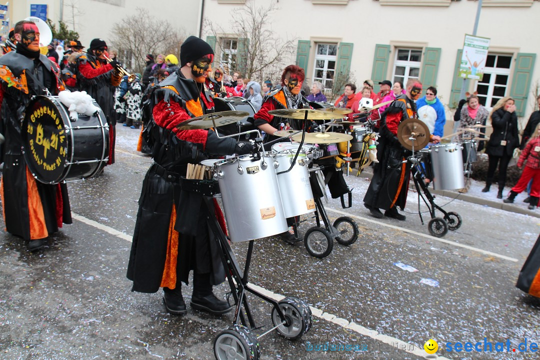 Rosenmontagsumzug: Gottmadingen am Bodensee, 11.02.2013