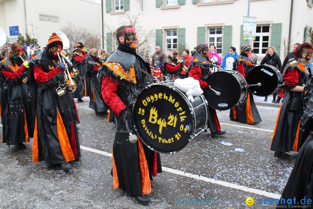 Rosenmontagsumzug: Gottmadingen am Bodensee, 11.02.2013