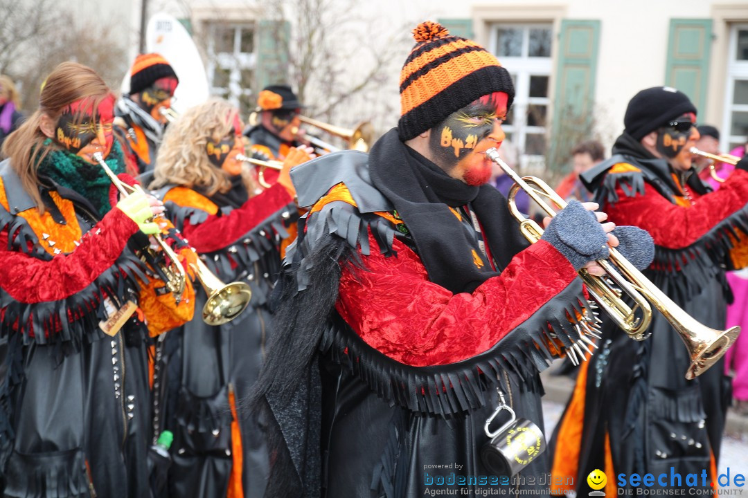 Rosenmontagsumzug: Gottmadingen am Bodensee, 11.02.2013