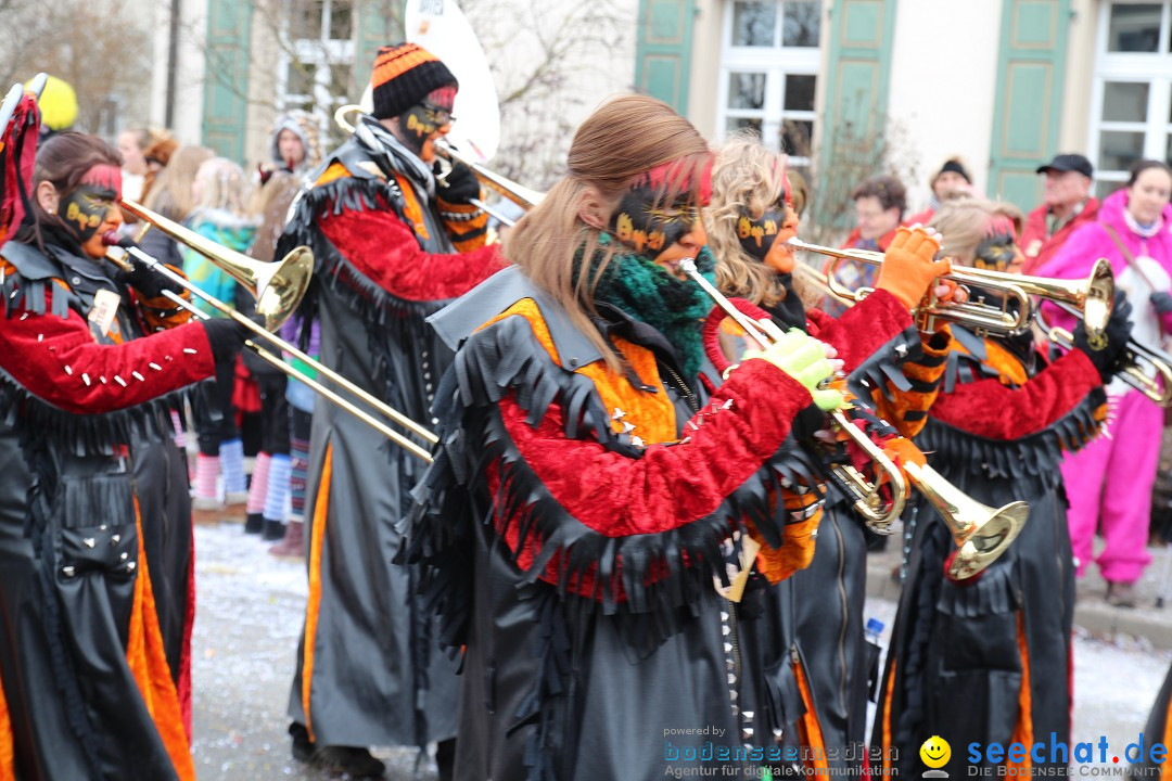 Rosenmontagsumzug: Gottmadingen am Bodensee, 11.02.2013