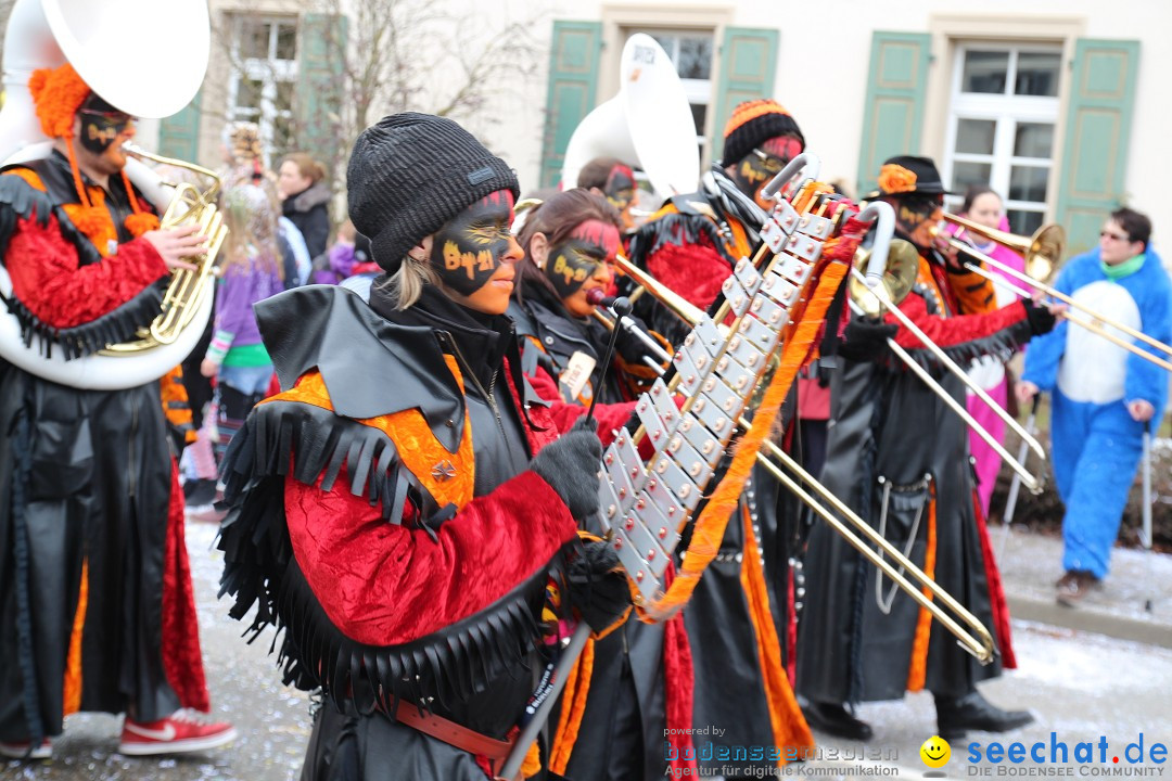 Rosenmontagsumzug: Gottmadingen am Bodensee, 11.02.2013