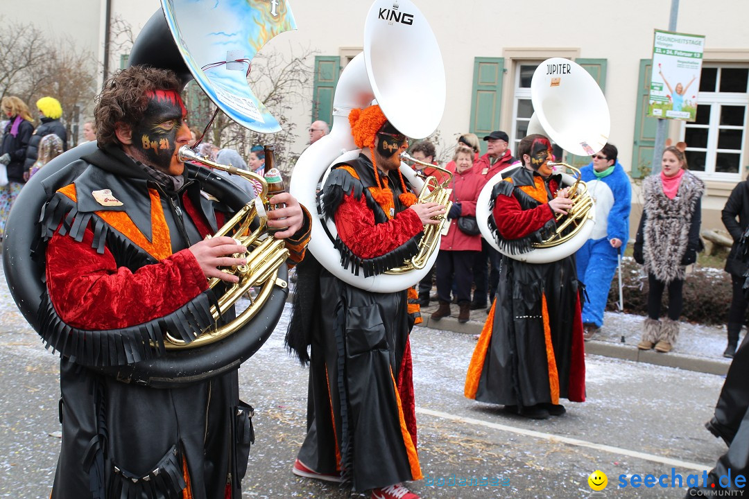 Rosenmontagsumzug: Gottmadingen am Bodensee, 11.02.2013