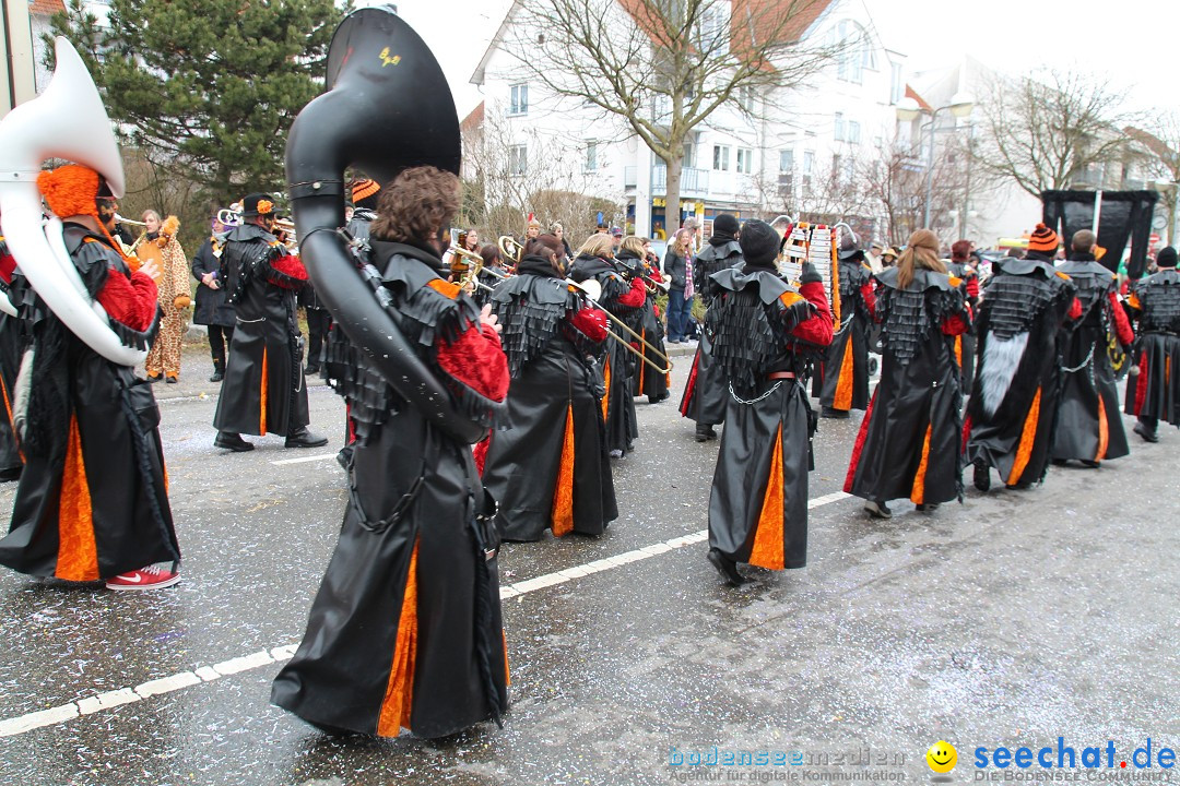 Rosenmontagsumzug: Gottmadingen am Bodensee, 11.02.2013