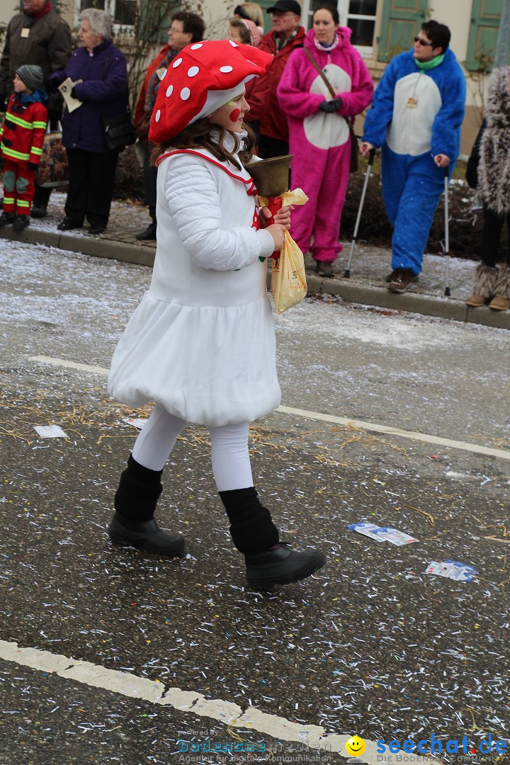 Rosenmontagsumzug: Gottmadingen am Bodensee, 11.02.2013