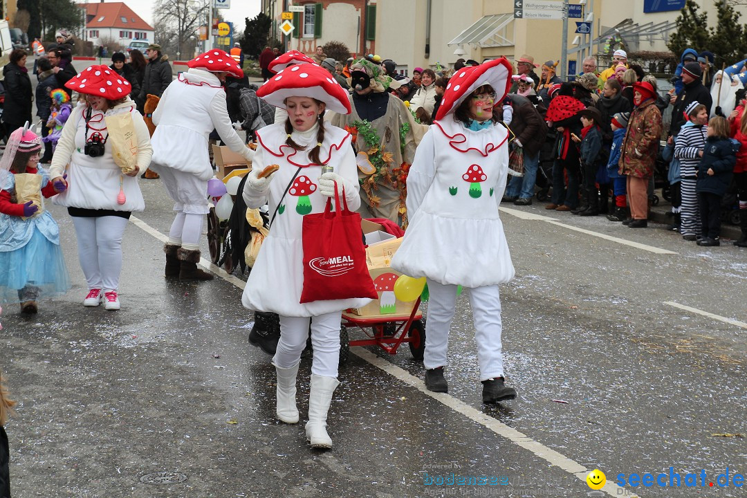 Rosenmontagsumzug: Gottmadingen am Bodensee, 11.02.2013