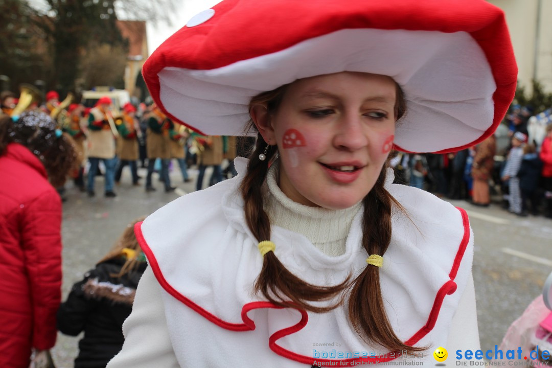 Rosenmontagsumzug: Gottmadingen am Bodensee, 11.02.2013