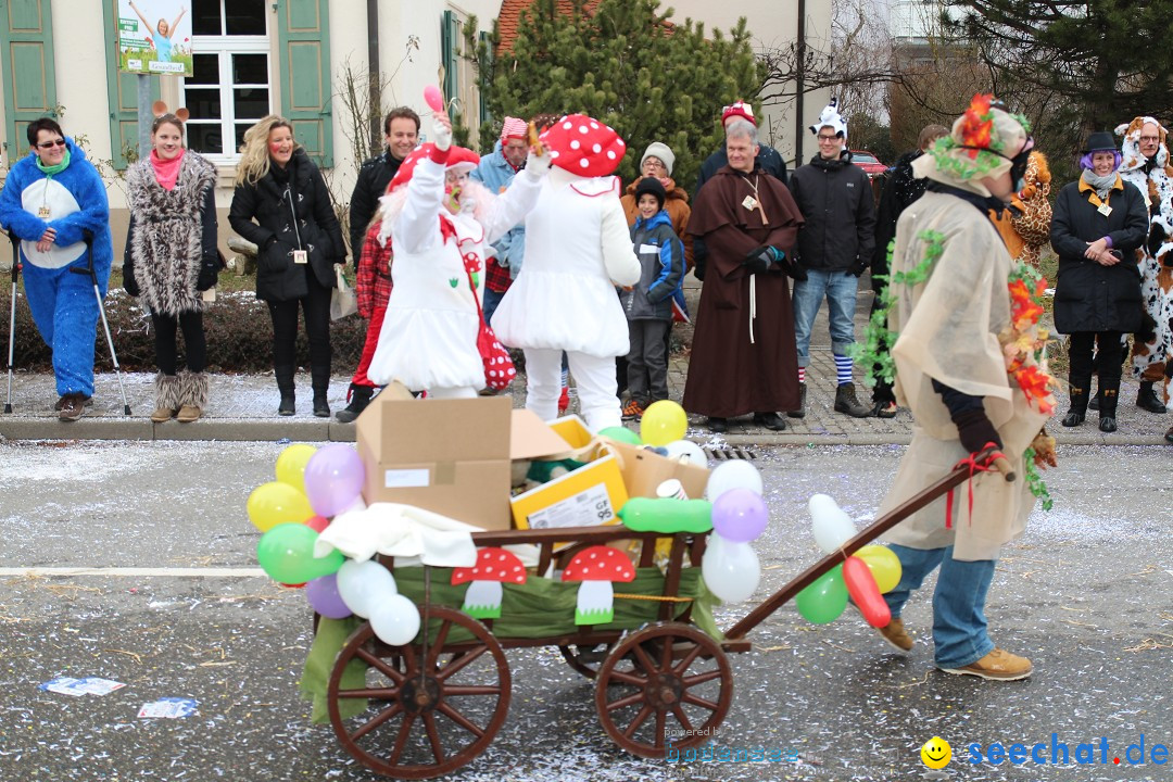 Rosenmontagsumzug: Gottmadingen am Bodensee, 11.02.2013