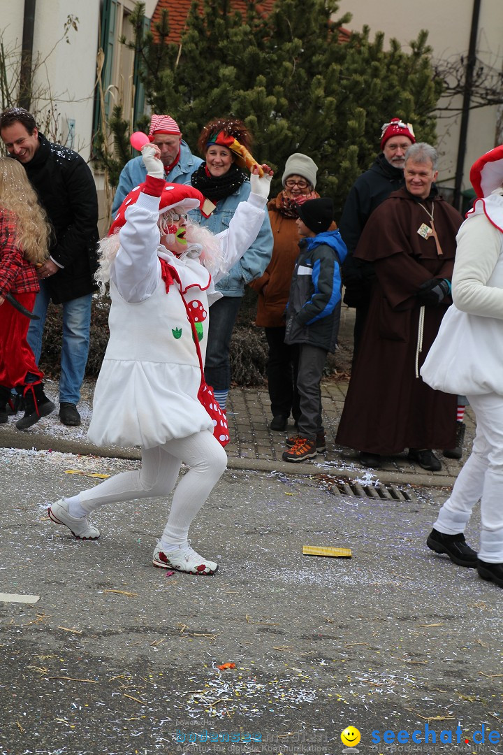 Rosenmontagsumzug: Gottmadingen am Bodensee, 11.02.2013