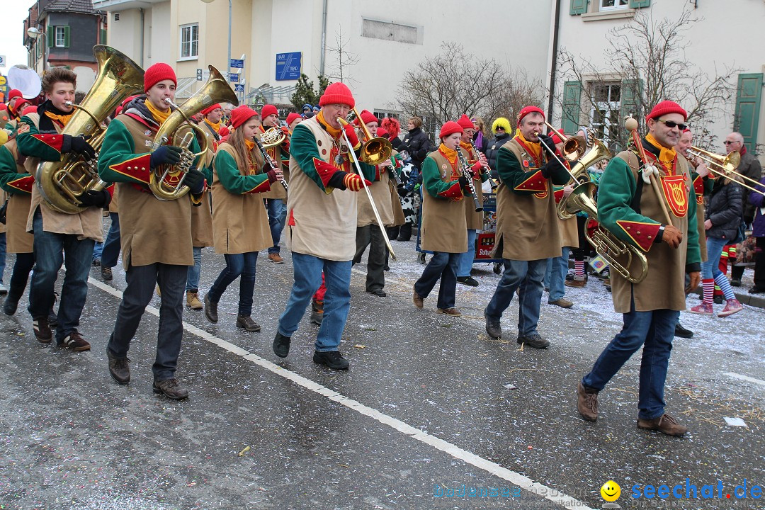 Rosenmontagsumzug: Gottmadingen am Bodensee, 11.02.2013