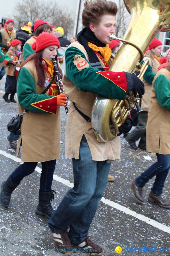 Rosenmontagsumzug: Gottmadingen am Bodensee, 11.02.2013