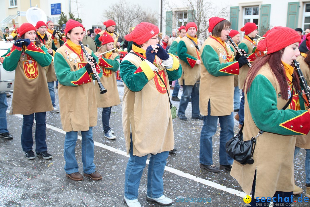 Rosenmontagsumzug: Gottmadingen am Bodensee, 11.02.2013