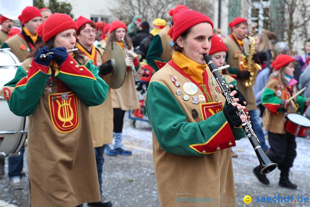 Rosenmontagsumzug: Gottmadingen am Bodensee, 11.02.2013