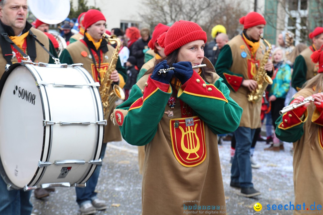 Rosenmontagsumzug: Gottmadingen am Bodensee, 11.02.2013