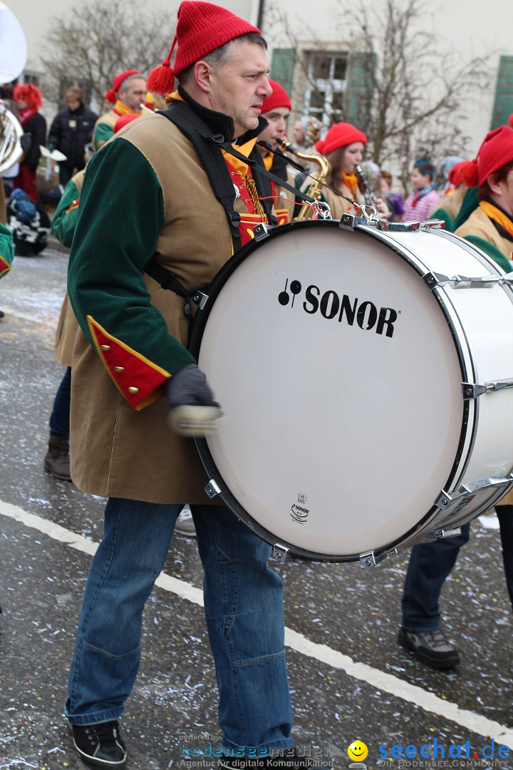 Rosenmontagsumzug: Gottmadingen am Bodensee, 11.02.2013