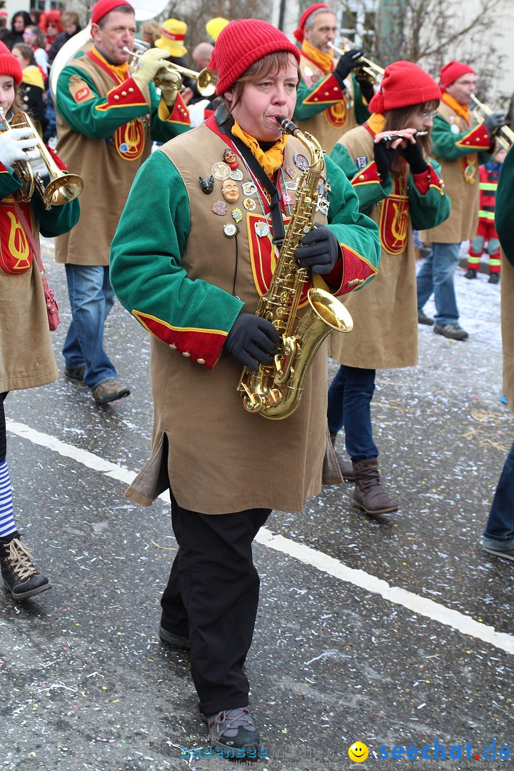 Rosenmontagsumzug: Gottmadingen am Bodensee, 11.02.2013