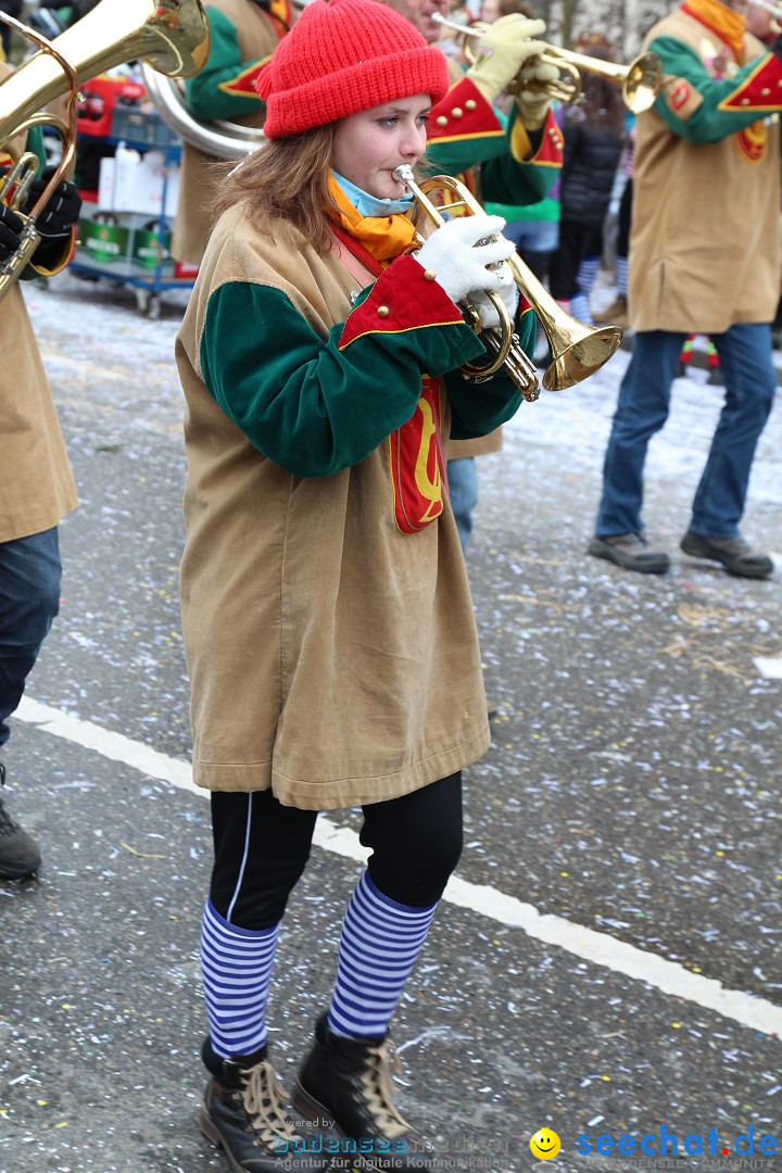 Rosenmontagsumzug: Gottmadingen am Bodensee, 11.02.2013