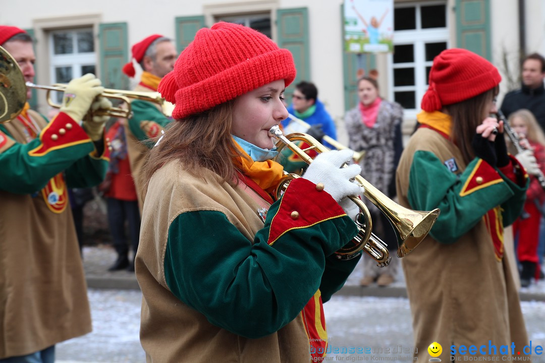 Rosenmontagsumzug: Gottmadingen am Bodensee, 11.02.2013