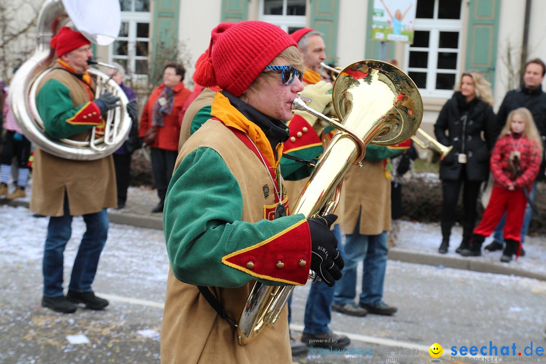 Rosenmontagsumzug: Gottmadingen am Bodensee, 11.02.2013