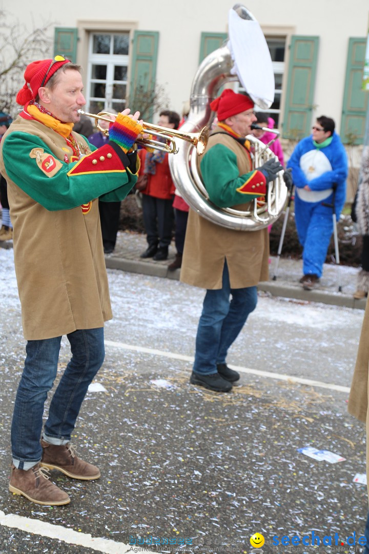 Rosenmontagsumzug: Gottmadingen am Bodensee, 11.02.2013