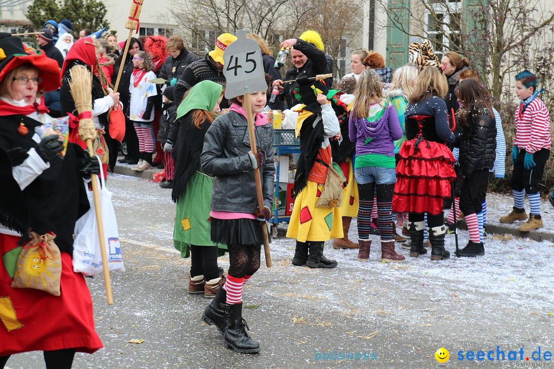 Rosenmontagsumzug: Gottmadingen am Bodensee, 11.02.2013