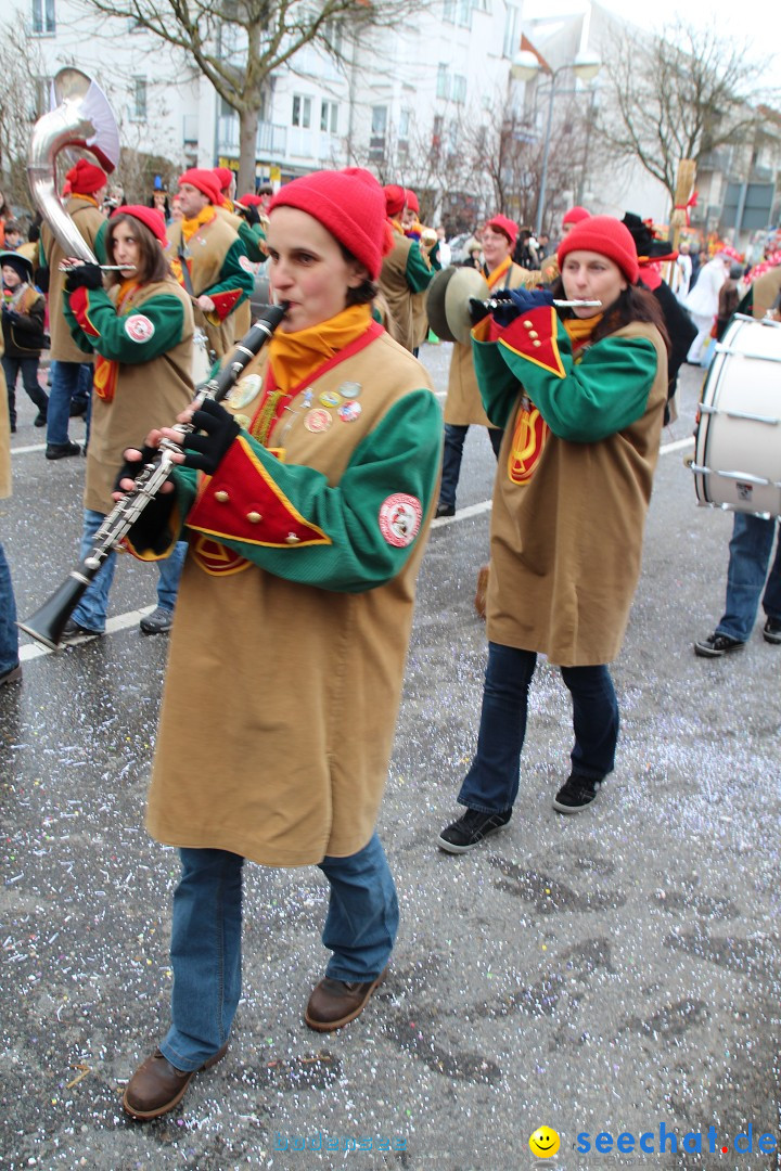 Rosenmontagsumzug: Gottmadingen am Bodensee, 11.02.2013