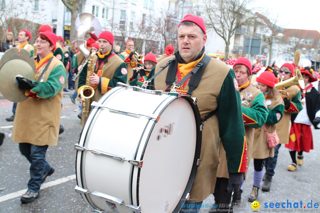 Rosenmontagsumzug: Gottmadingen am Bodensee, 11.02.2013