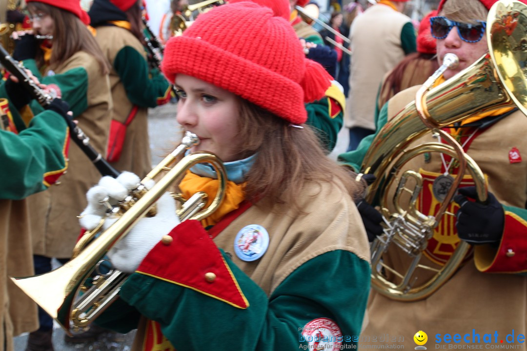 Rosenmontagsumzug: Gottmadingen am Bodensee, 11.02.2013