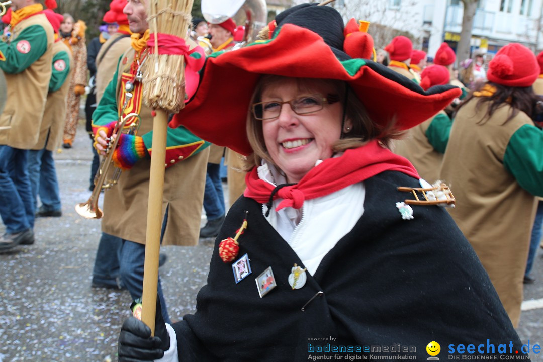 Rosenmontagsumzug: Gottmadingen am Bodensee, 11.02.2013