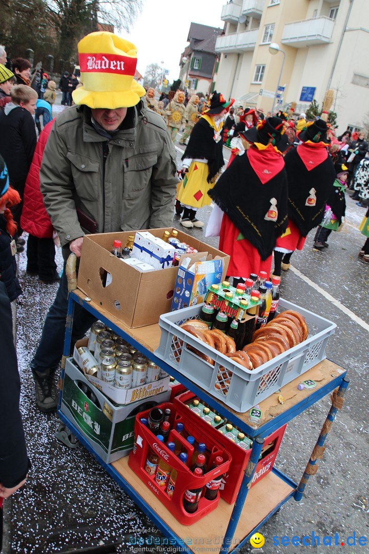 Rosenmontagsumzug: Gottmadingen am Bodensee, 11.02.2013