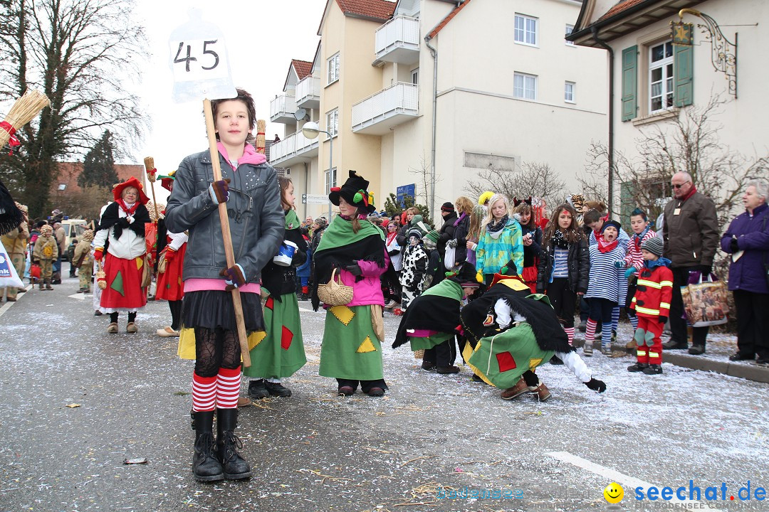 Rosenmontagsumzug: Gottmadingen am Bodensee, 11.02.2013