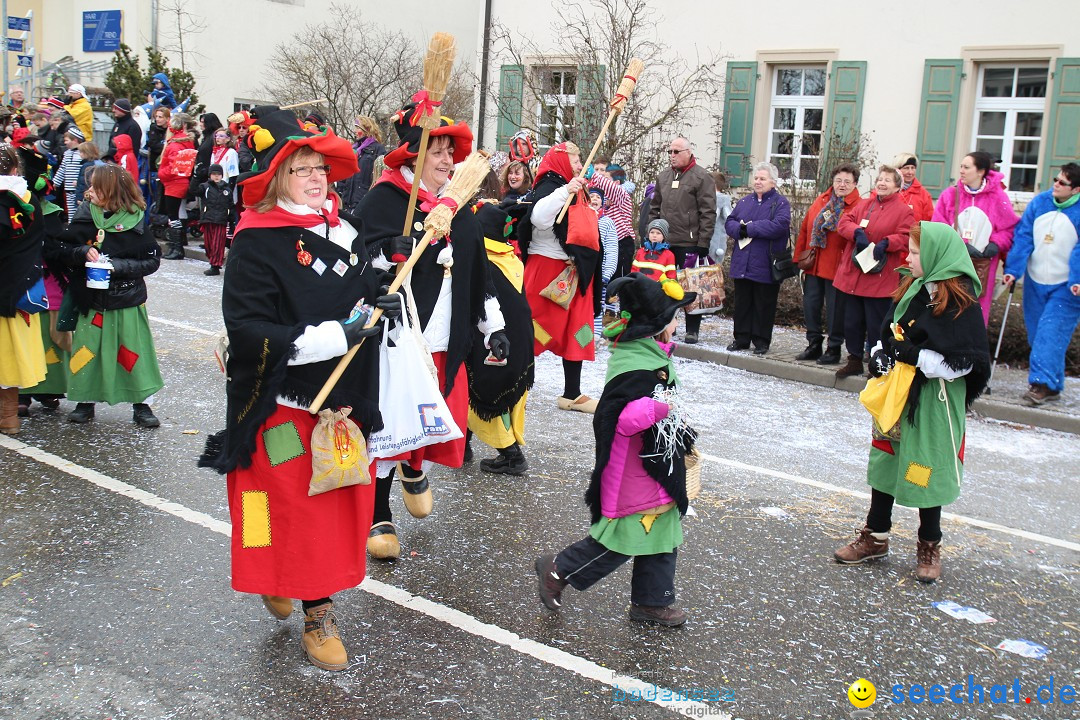 Rosenmontagsumzug: Gottmadingen am Bodensee, 11.02.2013