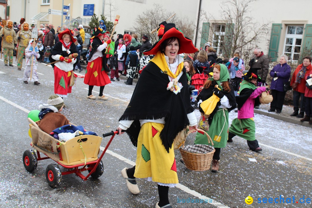 Rosenmontagsumzug: Gottmadingen am Bodensee, 11.02.2013