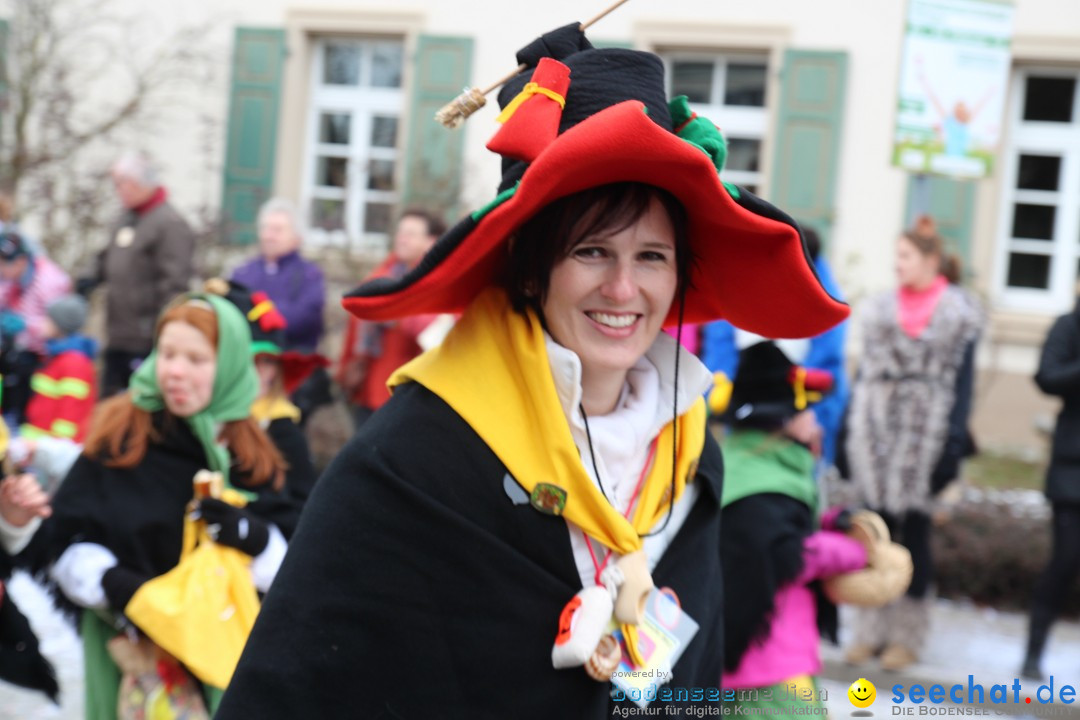 Rosenmontagsumzug: Gottmadingen am Bodensee, 11.02.2013