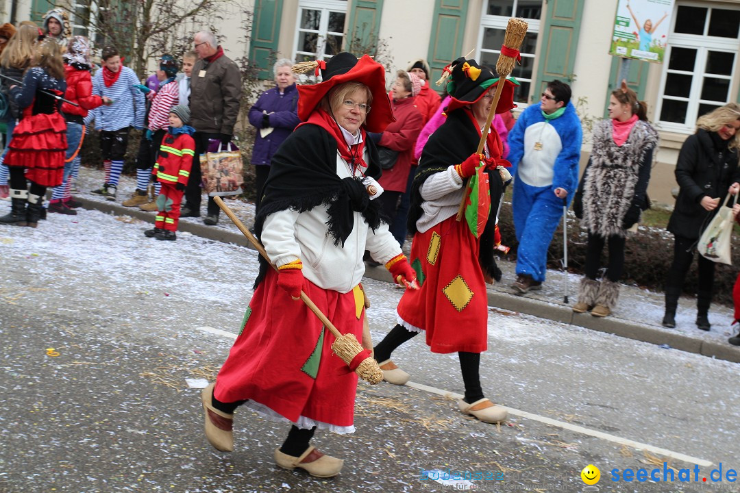 Rosenmontagsumzug: Gottmadingen am Bodensee, 11.02.2013