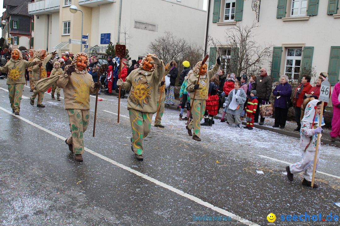 Rosenmontagsumzug: Gottmadingen am Bodensee, 11.02.2013