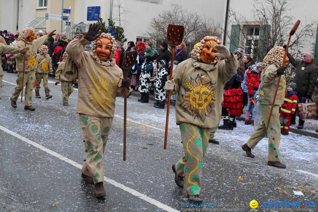 Rosenmontagsumzug: Gottmadingen am Bodensee, 11.02.2013