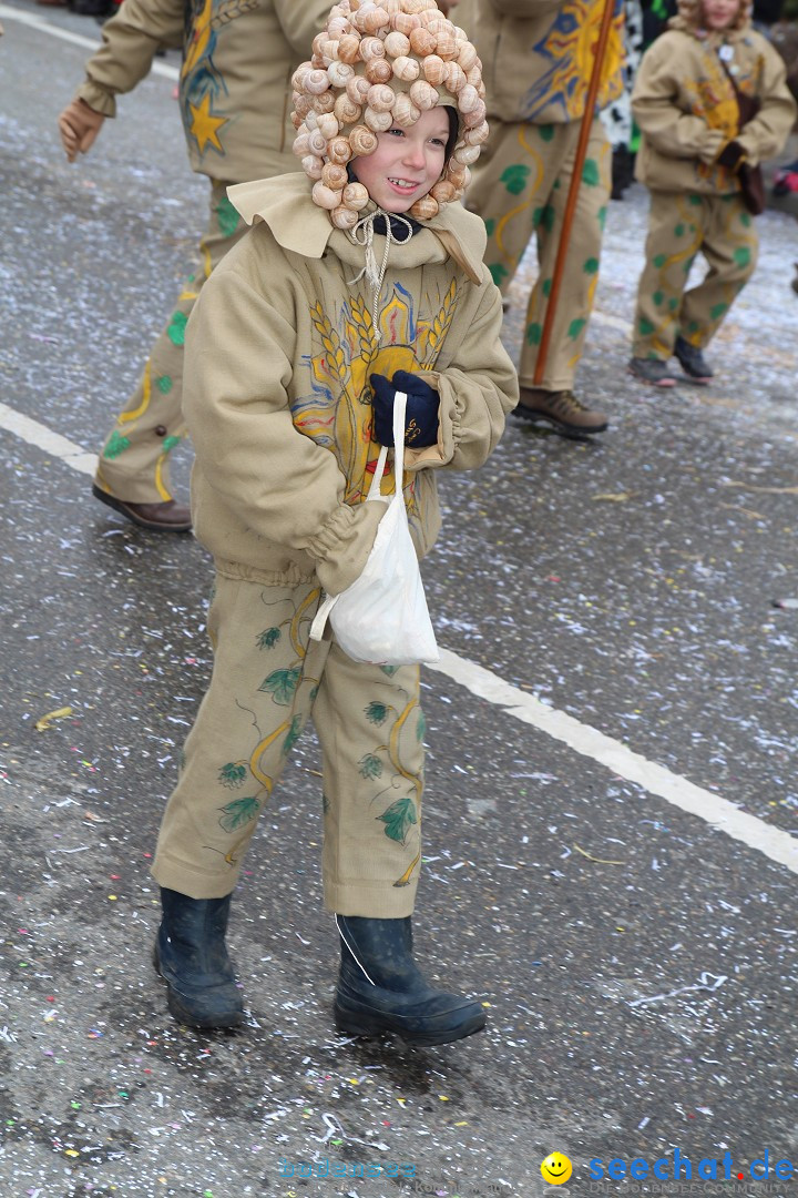 Rosenmontagsumzug: Gottmadingen am Bodensee, 11.02.2013