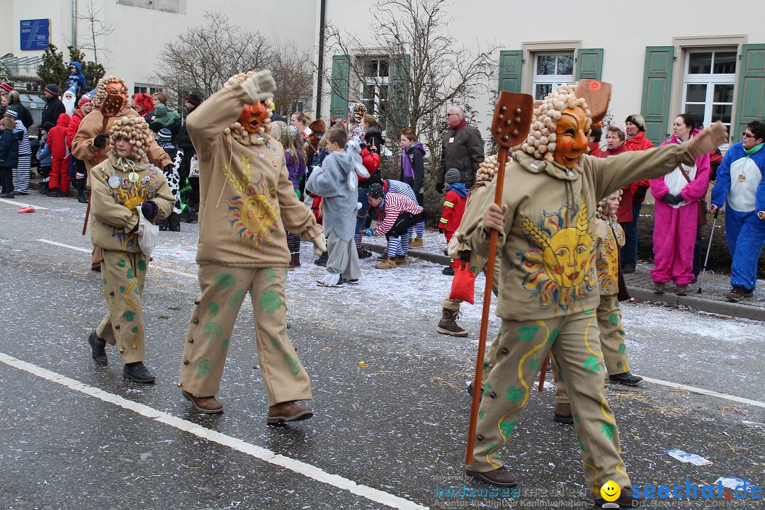 Rosenmontagsumzug: Gottmadingen am Bodensee, 11.02.2013