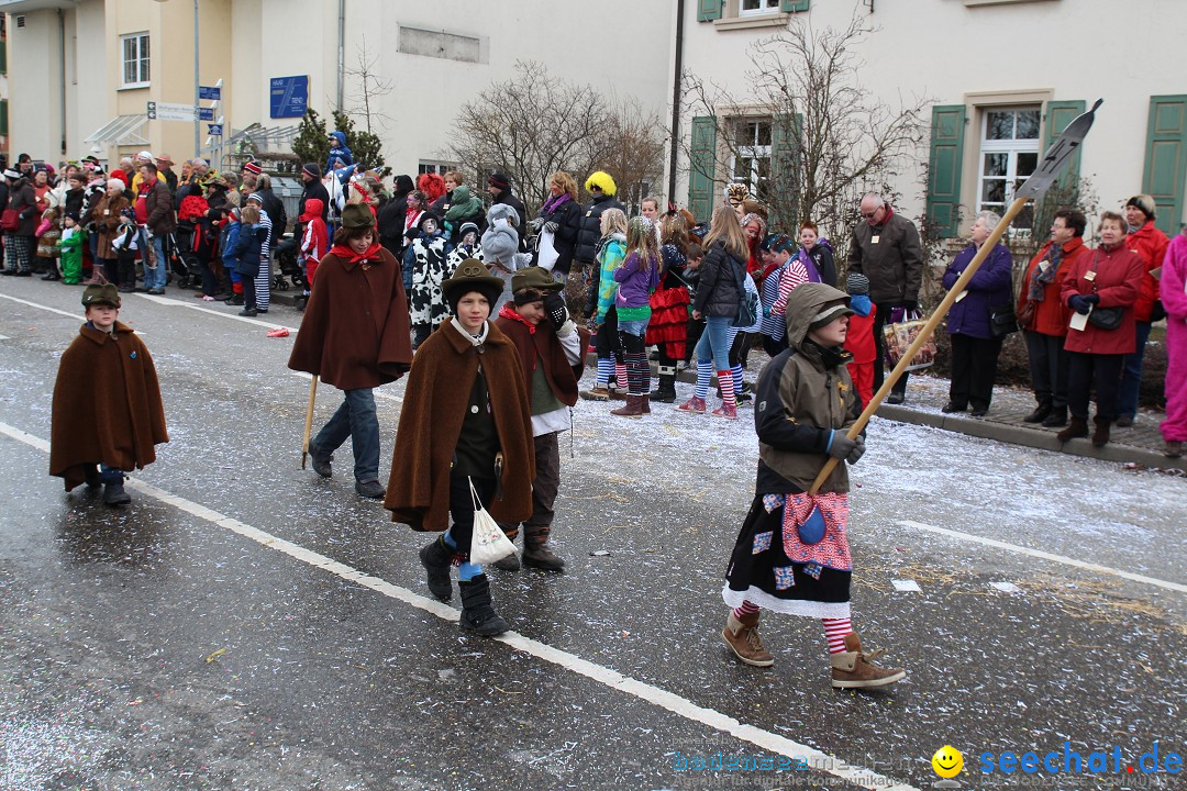 Rosenmontagsumzug: Gottmadingen am Bodensee, 11.02.2013