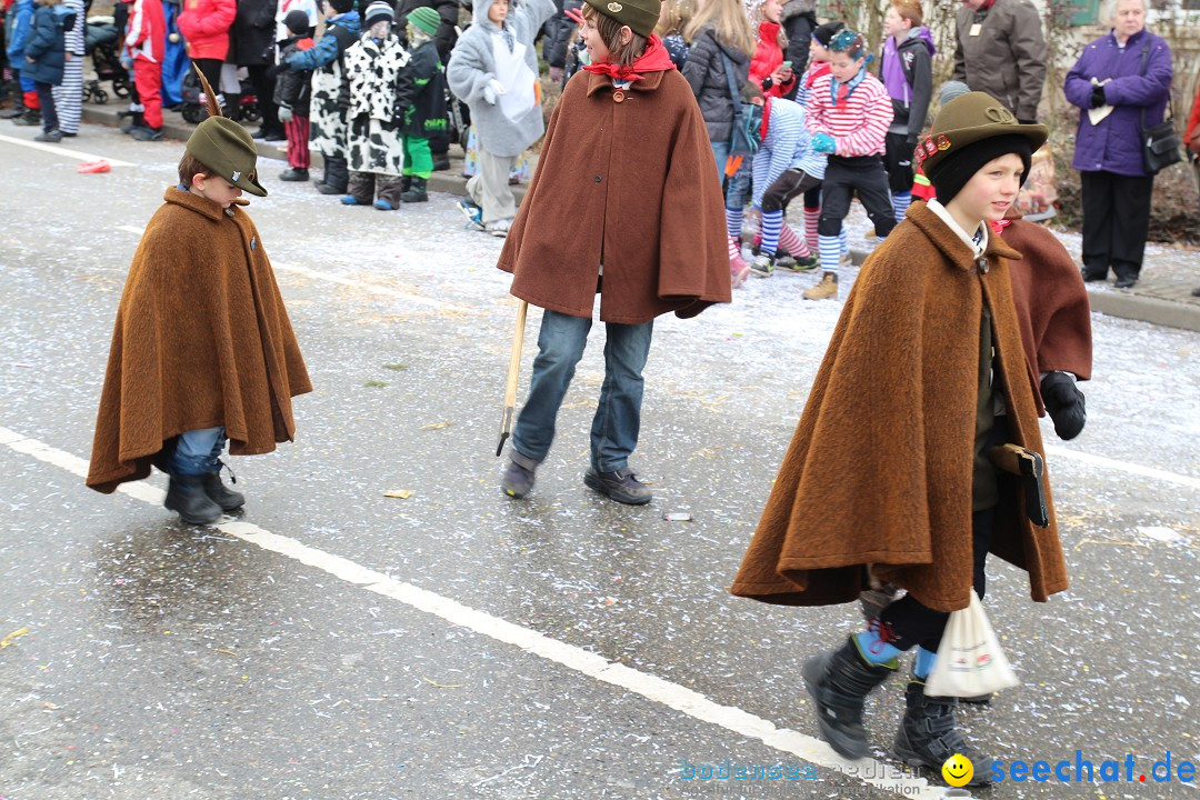 Rosenmontagsumzug: Gottmadingen am Bodensee, 11.02.2013