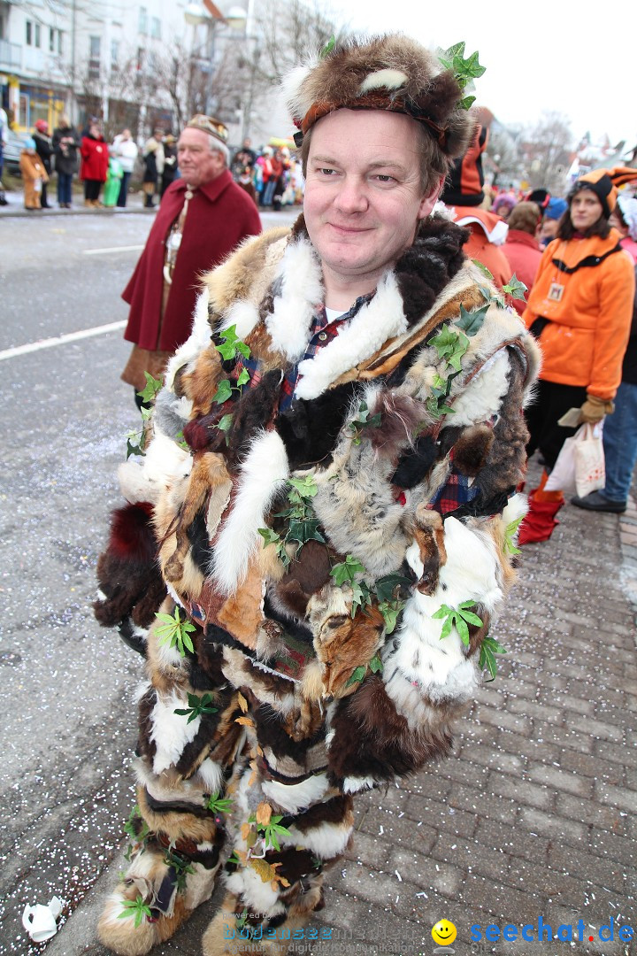 Rosenmontagsumzug: Gottmadingen am Bodensee, 11.02.2013