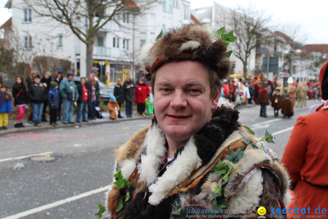 Rosenmontagsumzug: Gottmadingen am Bodensee, 11.02.2013