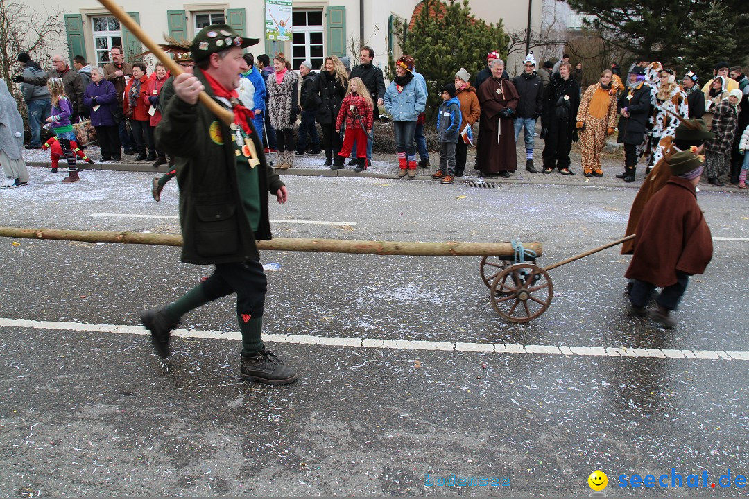 Rosenmontagsumzug: Gottmadingen am Bodensee, 11.02.2013