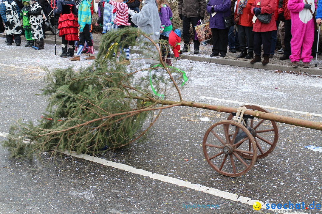 Rosenmontagsumzug: Gottmadingen am Bodensee, 11.02.2013