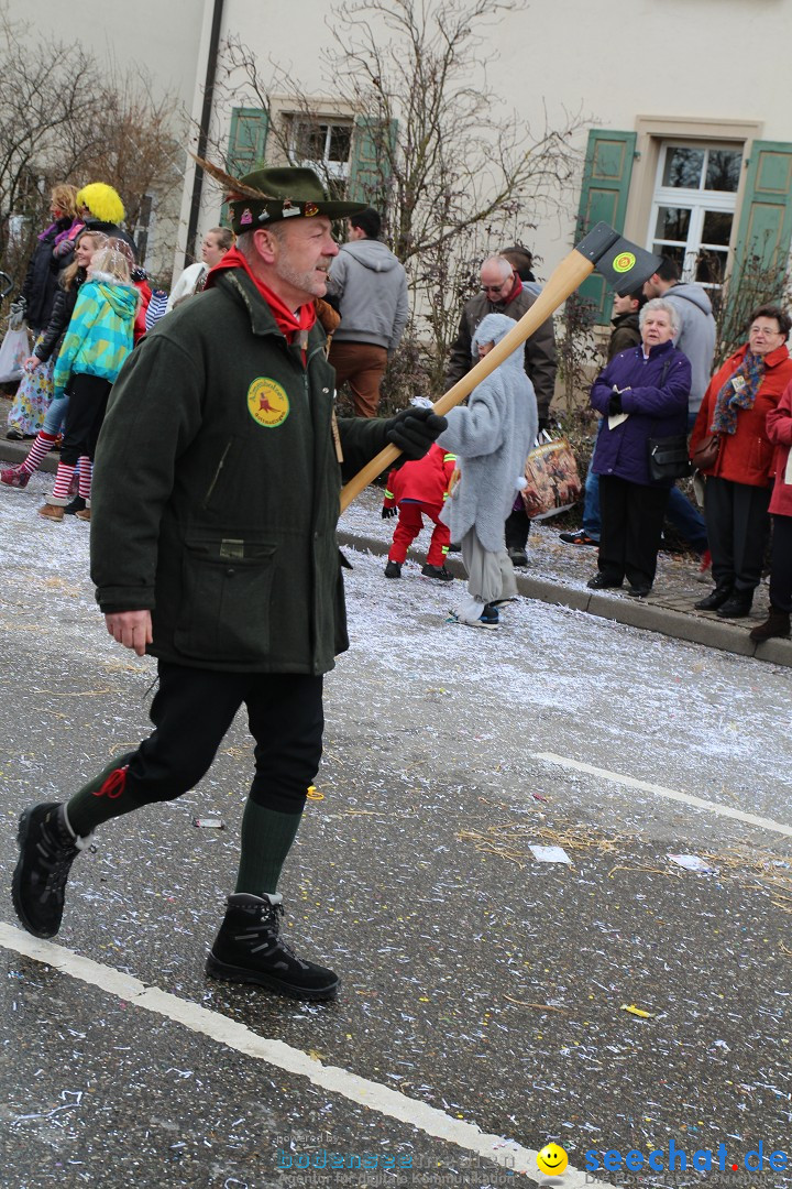 Rosenmontagsumzug: Gottmadingen am Bodensee, 11.02.2013